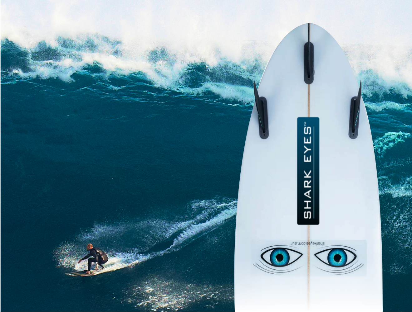Shark Eyes